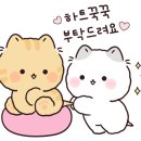 오투음악학원 이미지