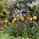 마르아줄 이미지