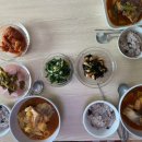 숙이언니 | 6개월 아기 300km 장거리 운전 후기 명절 지내러 친정 행