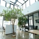 강남으뜸공인중개사사무소 이미지