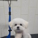 무브멍트 이미지