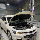 라임모터스 이미지