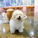 달링하이울산 이미지