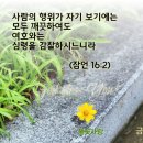 잠언16장말씀/ 성구카드/ 생명의말씀 /내인생의나침반 이미지