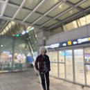 루리힐 | 일남과 함께 하지 않는 일본 14편(25.08.21 ~ 25.08.27)