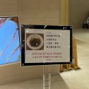 결혼준비 #05 구로 지타워컨벤션 웨딩홀 베뉴 당일 계약 완료