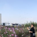 뽕 인형뽑기 이미지