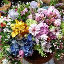 화비꽃방 이미지