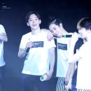 꽁냥꽁냥 이미지