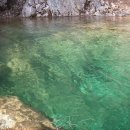 도마치로 이미지