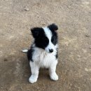 폼스하우스 이미지