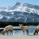 산과호수 이미지