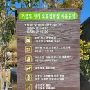 거금도 청석 오토캠핑장 이미지