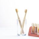 포도나무치과의원 이미지