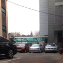 엉터리생고기 이미지