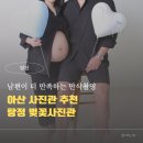 감성충만셀프 화장실 | 천안아산셀프사진관 만삭촬영 후기｜남편이 더 만족한 탕정 벚꽃사진관