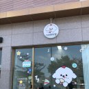 삼구3차(399125) | 포항 반려동물수제간식 강아지 생일 케이크 디어마이댕