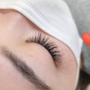 세인자연 이미지