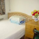 로뎀나무 민박 이미지