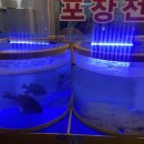 속초오징어어시장석수역점