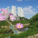 서초힐스 이미지