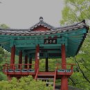 지리산마천흑돼지촌 음식특화거리 | 백반기행 함양지리산흑돼지맛집 다슬기탕 대구뽈찜+갈치조림 식당촬영지 화림동계곡정자 사진명소 여행...
