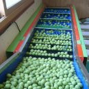 예일농장 이미지