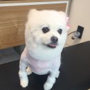 성심미용실 이미지