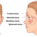 운동케어센터 이미지