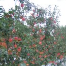 가재골농장 이미지