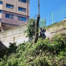 (주)큰나무 이미지