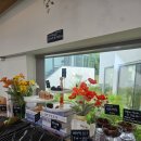 수피아B동 | 울산 수피아 카페 | 신불산 아래 아이와 다녀온 힐링 카페