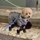 (주)네오트리게임즈 | [2025-12] 사랑해 마지않는 😻😸😽들과 함께하기