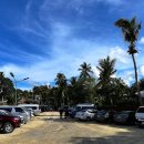 리라안경 이미지