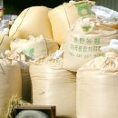 송탄농협미곡종합처리장 이미지