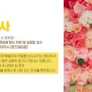 연세로즈의원 이미지