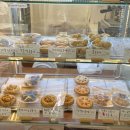 뭉구 애견 이미지