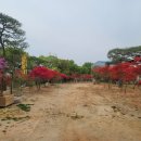 미송농장 이미지