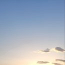 천진초등학교 이미지