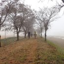 보은공설운동장 이미지