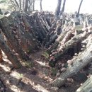 수봉농장 이미지