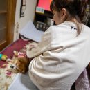 마루민박 이미지