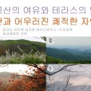 수지성복 효성해링턴코트 이미지