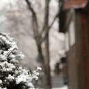 핀란드 하우스 이미지