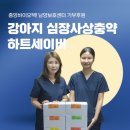 남양동물보호센터