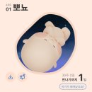 11620-5-4-1 | [출산일기] 삼성서울병원 제왕절개 4박 5일 후기. <1> 입원 전, 수술 준비