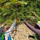 남해-240 이미지