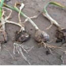 대정의원 이미지