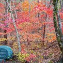 문동휴양지 이미지