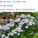 가을동해바다. 정동진 부채길 1박2일 이미지